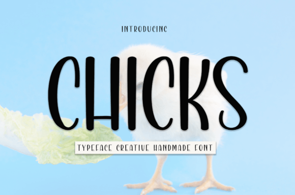 Chicks: A Friendly Handwritten Font for Web Design