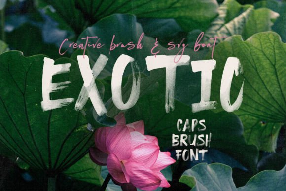 Exotic: A Bold and Dramatic Font for Crafters